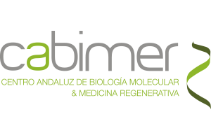Centro Andaluz de Biología Molecular y Medicina Regenerativa (CABIMER)